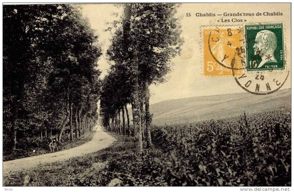 CPA (89) CHABLIS     Grands Crus De Chablis  (les Clos) - Chablis