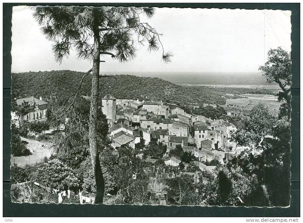 Ramatuelle - Vue Générale   - Cpsm Gf - LL10922 - Ramatuelle