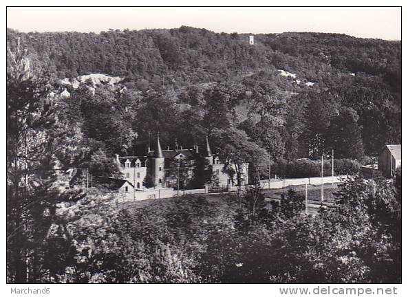 91 BOISSY LA RIVIERE.centre D'éducation Ouvrière Et Sociale De La CEDT Domaine De Bierville Le Chateau - Boissy-la-Rivière