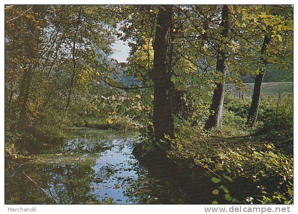 ESSONNE.YERRES.L YERRES PITTORESQUE  (coin Bas Plie Gauche) - Yerres