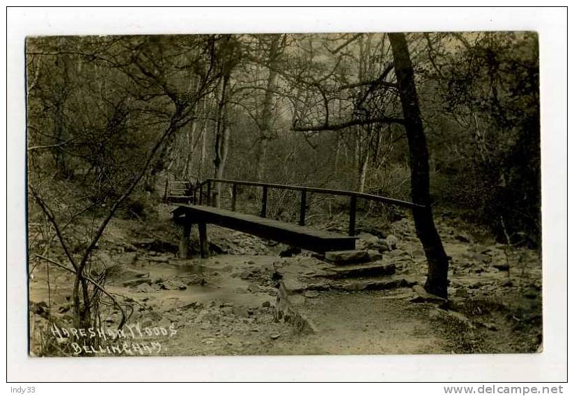 - ANGLETERRE NORTHUMBERLAND . HARESHAM WOODS . BELLINGHAM - Autres & Non Classés