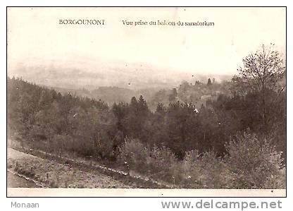 BORGOUMONT (La Gleize) Vue Prise Du Balcon Du Sanatorium. - Stoumont