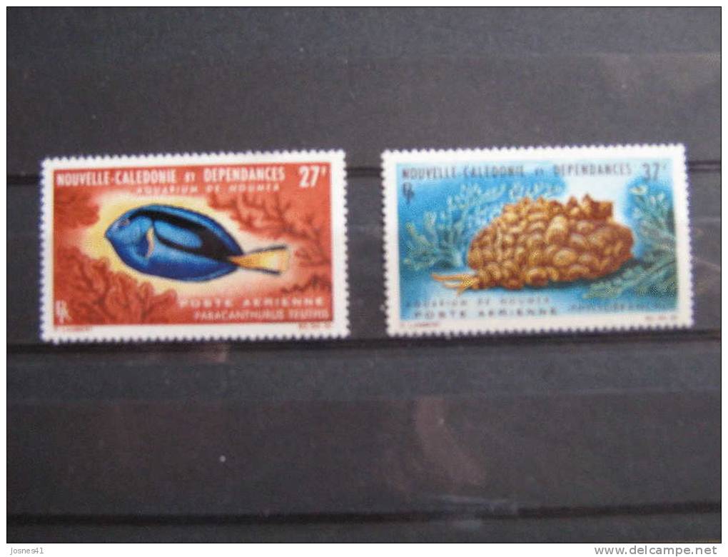 NOUVELLE CALEDONIE  PA  77/78 * *   AQUARIUM DE NOUMEA - Nuevos