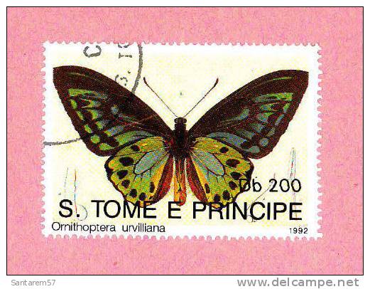 Timbre Oblitéré Used Stamp Selo Carimbado Butterfly Papillon Ornithoptera Urvilliana S. TOME E PRINCIPE Db200 1992 - Sao Tome Et Principe