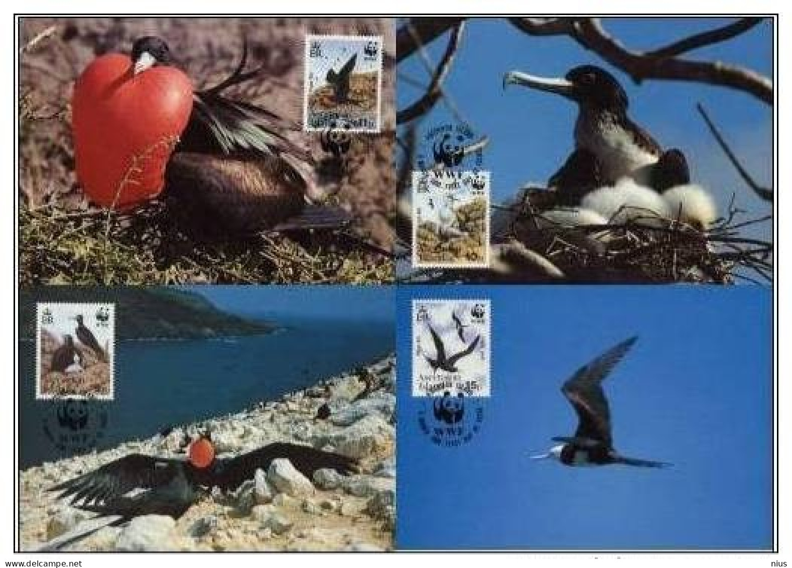 Ascension Island 1990 WWF W.W.F. Frigatebird Bird Set X4 Maximum Cards Fauna Birds - Cartes-maximum