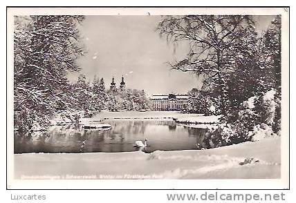 DONAUESCHINGEN.I. SCHWARZWALD. WINTER IM FÜRSTLICHEN PARK. - Donaueschingen