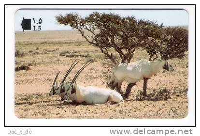 Oman - Arabian Oryx - 33OMNN - Animal - Tiere - Oman