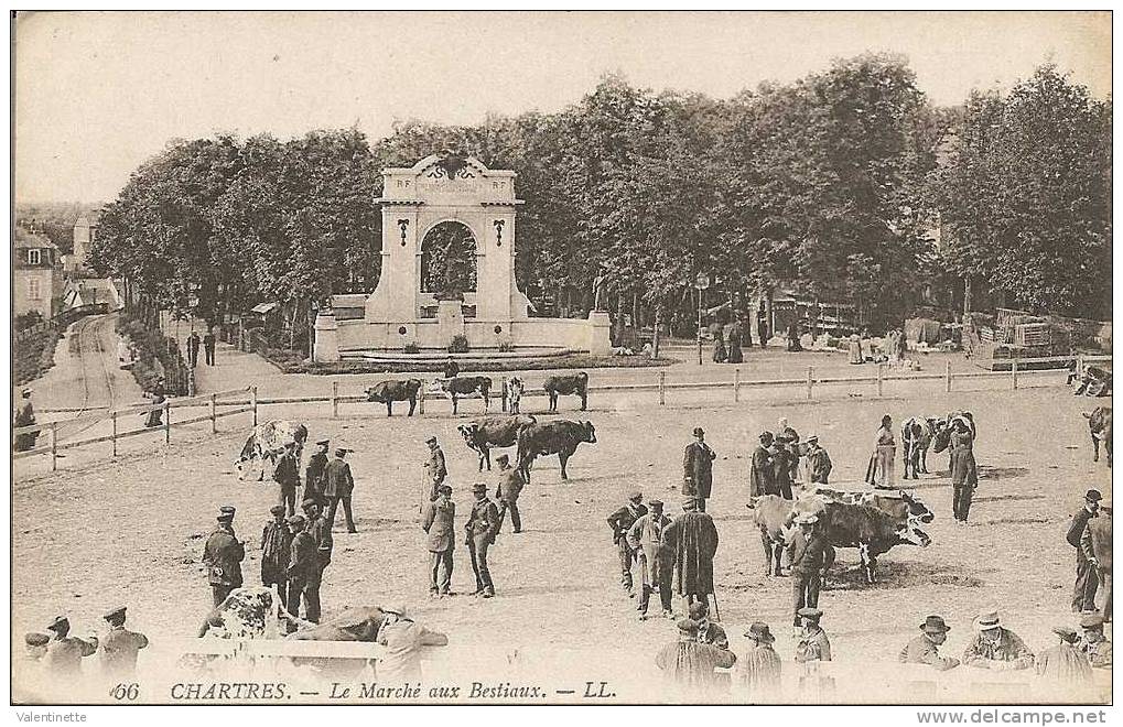 28  CHARTRES Le Marché Aux Bestiaux 1919 - Märkte