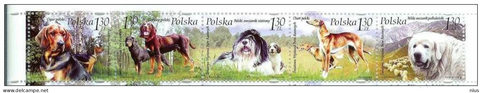 Poland Polska 2006 Dogs Chiens Cani Hunde Dog - Ongebruikt