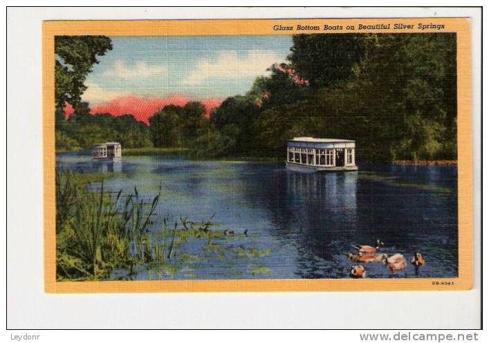 Glass Bottom Boats On Beautiful Silver Springs, Florida - Silver Springs