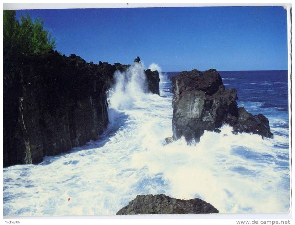 Réunion---datée 1991--  Pointe De Langevin , Cpm  éd J.C  Nourault - Autres & Non Classés