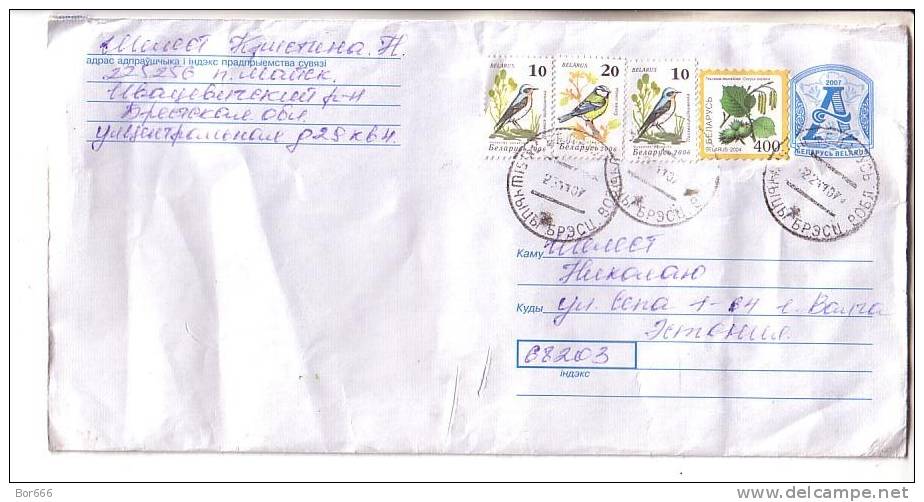 GOOD BELARUS Postal Cover To ESTONIA 2007 - Good Stamped: Birds - Belarus