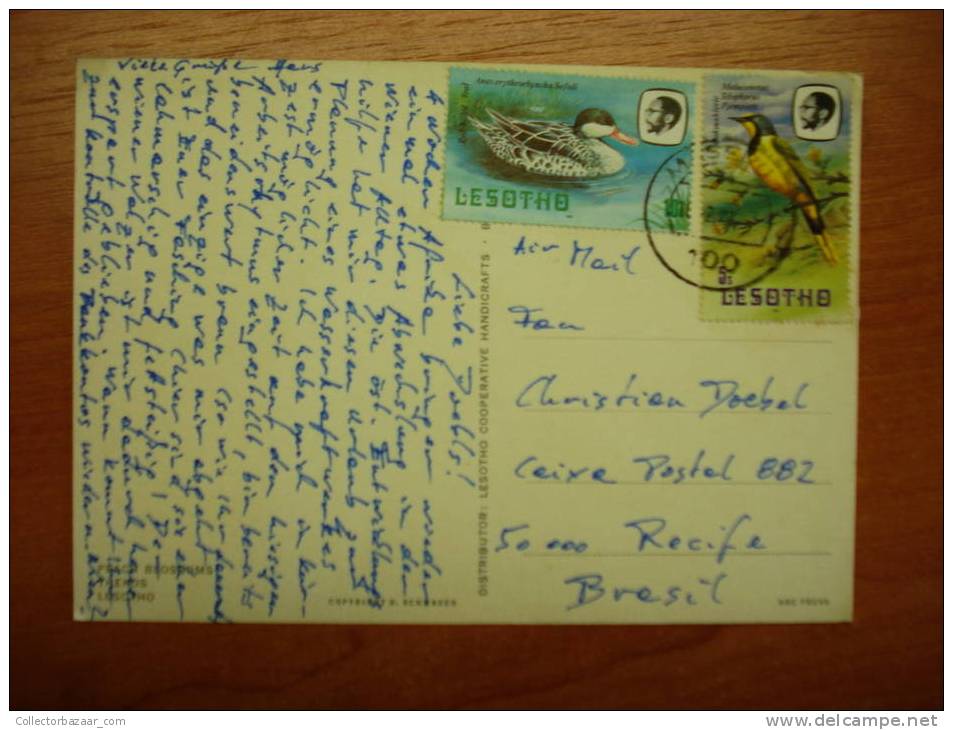 LESOTHO Duck Bird Stamps On Real Photo POSTCARD - Patos