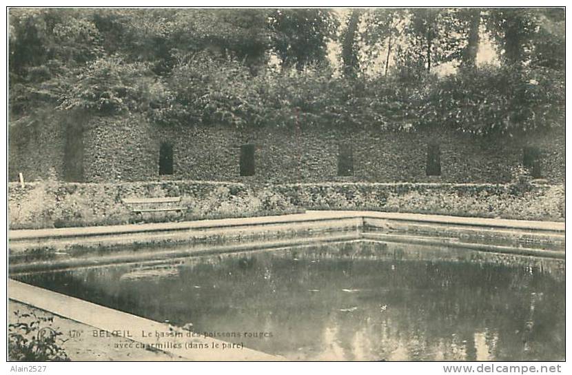 BELOEIL - Le Bassin Des Poissons Rouges Avec Charmilles (dans Le Parc) (Imp. Delcourt, Beloeil, N° 476) - Beloeil