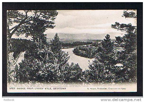 1907 Postcard Spey Bridge From Ladies Walk Grantown On Spey Morayshire Scotland  - Ref 531 - Moray