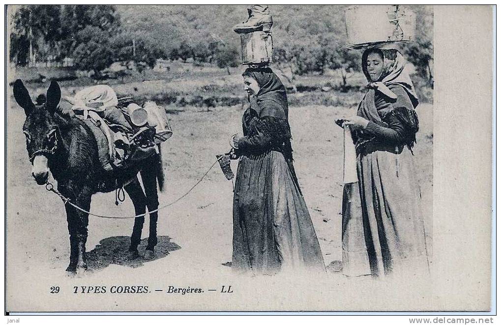 - CORSE - TYPES CORSES - BERGERES - - Corse
