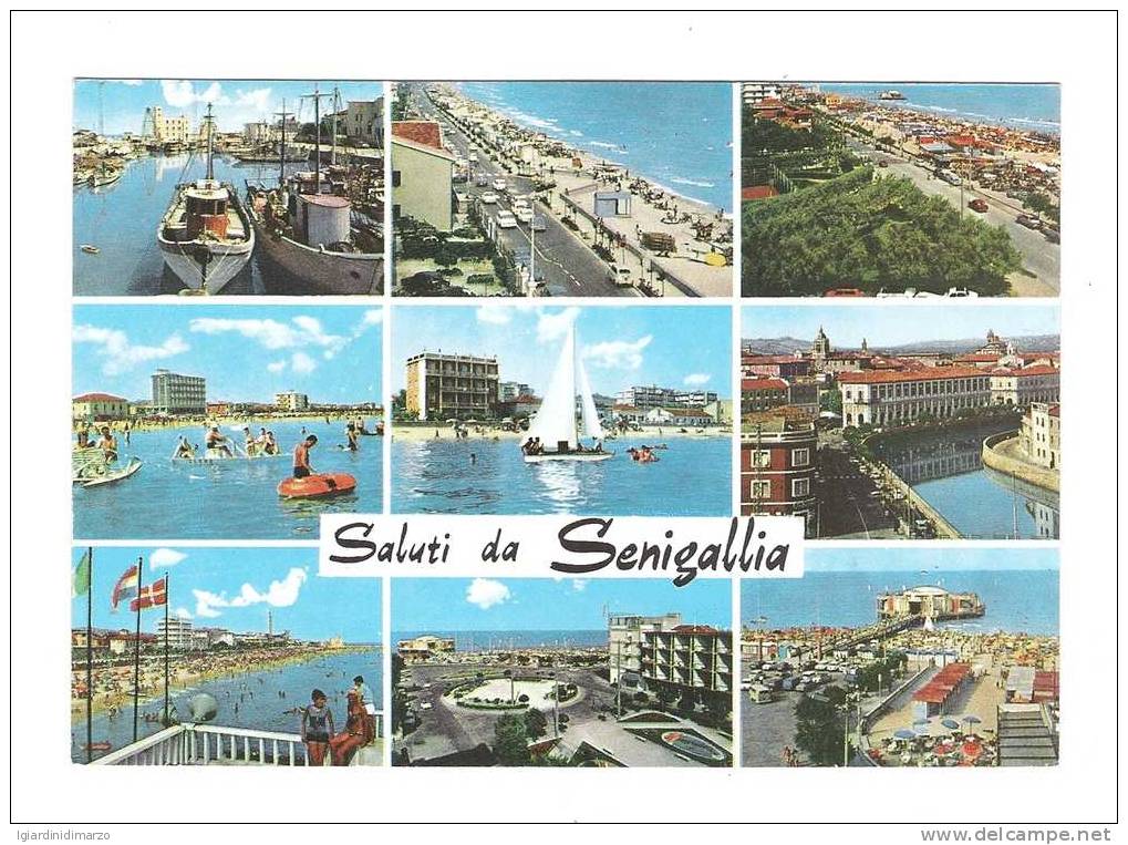 SENIGALLIA (AN) Saluti Da...- 9 Vedute - ANIMATE - Viaggiata, Da Senigallia A Roma, Nel 1988 - In Buone Condizioni. - Senigallia