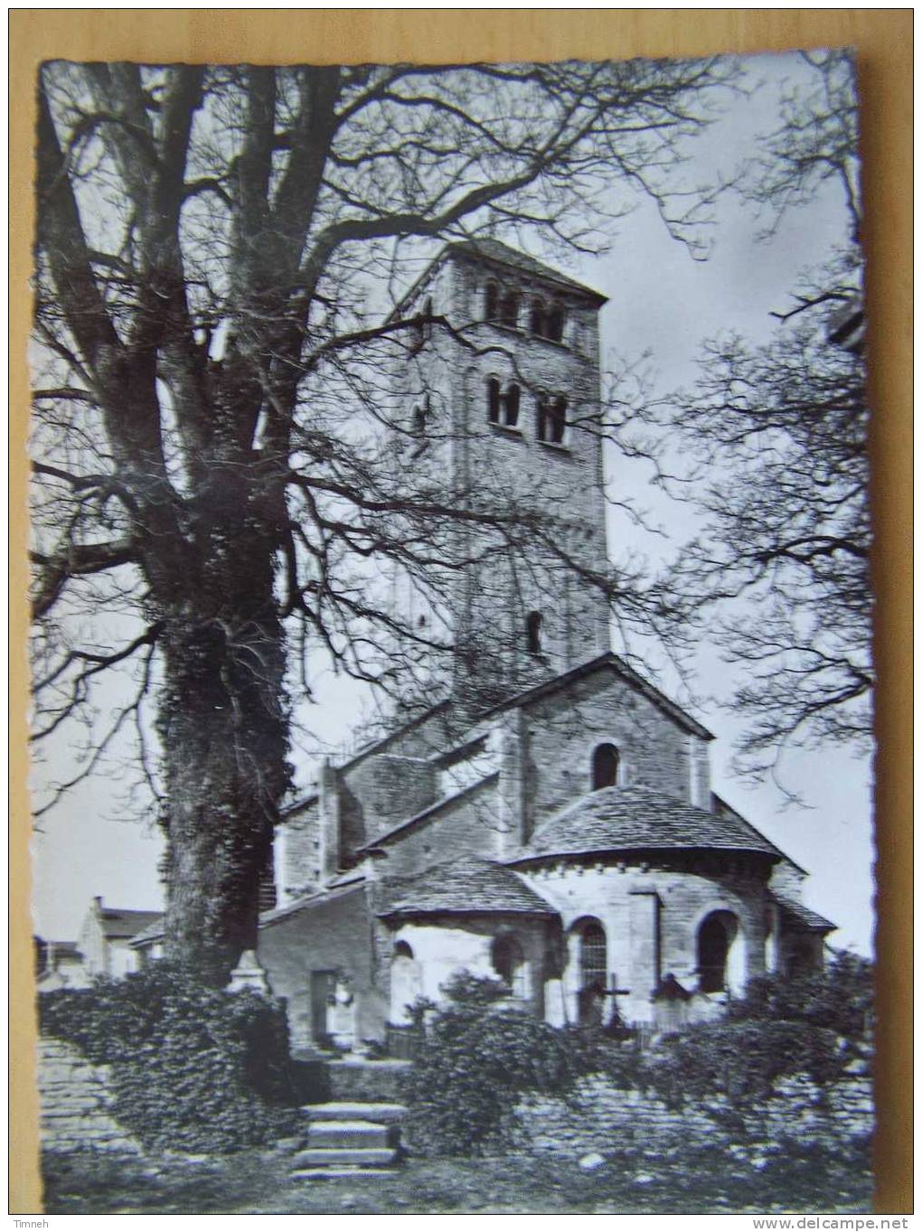 5.CHAPAIZE -L'Eglise- Art Roman- Arbre Premier Plan - Eglises Et Cathédrales