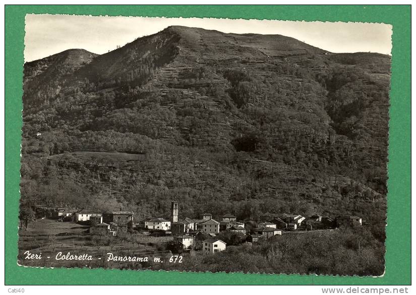 CARTOLINA-ZERI-COLORETTA-PANORAMA - Massa