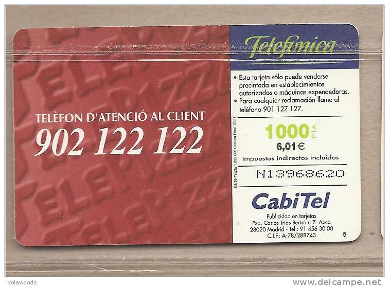 Spagna - Scheda Telefonica Da 1000 Pesetas - Autres & Non Classés