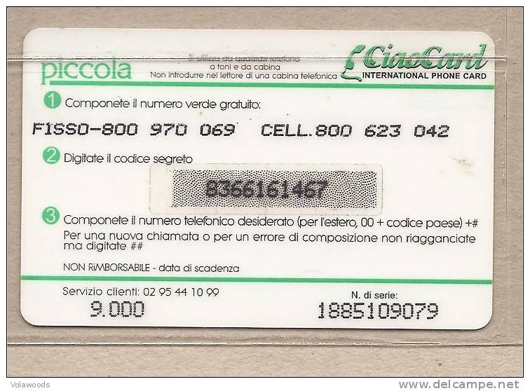 Italia - Scheda Telefonica International Phone Card - Sonderzwecke