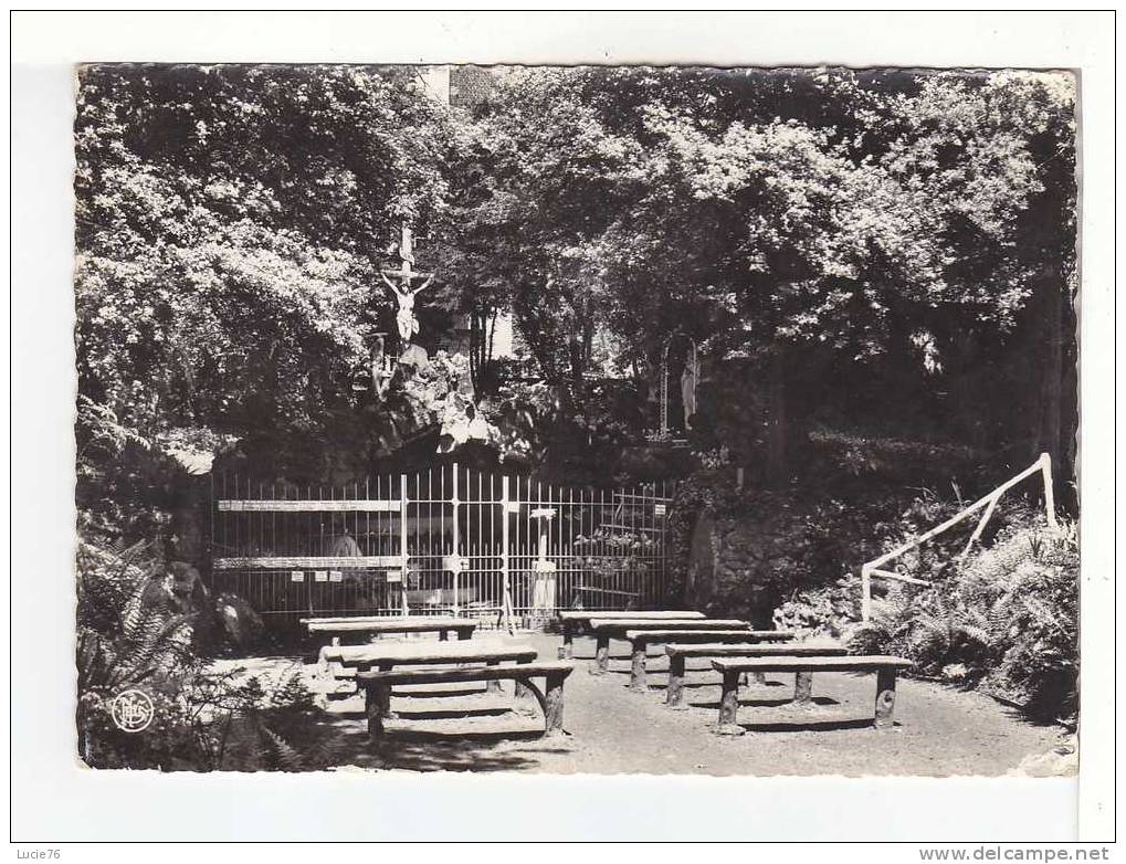 LA HULPE -  Grotte De NOTRE DAME De LOURDES  -  N° 4 - La Hulpe