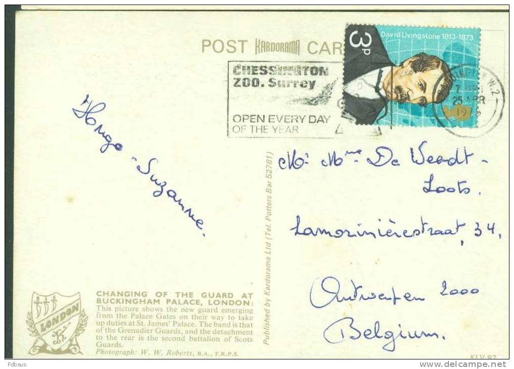1978 POST CARD FROM LONDON TO ANTWERP -  QUEENS GUARD - STAMP ZEGEL LIVINGSTONE - CANC. ZOO CHESSINGTON - Autres & Non Classés