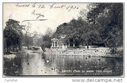 ANTWERPEN-JARDIN-ZOOLOGIQUE-DIERENTUIN-ZOO-ETANG DU JARDIN - Antwerpen