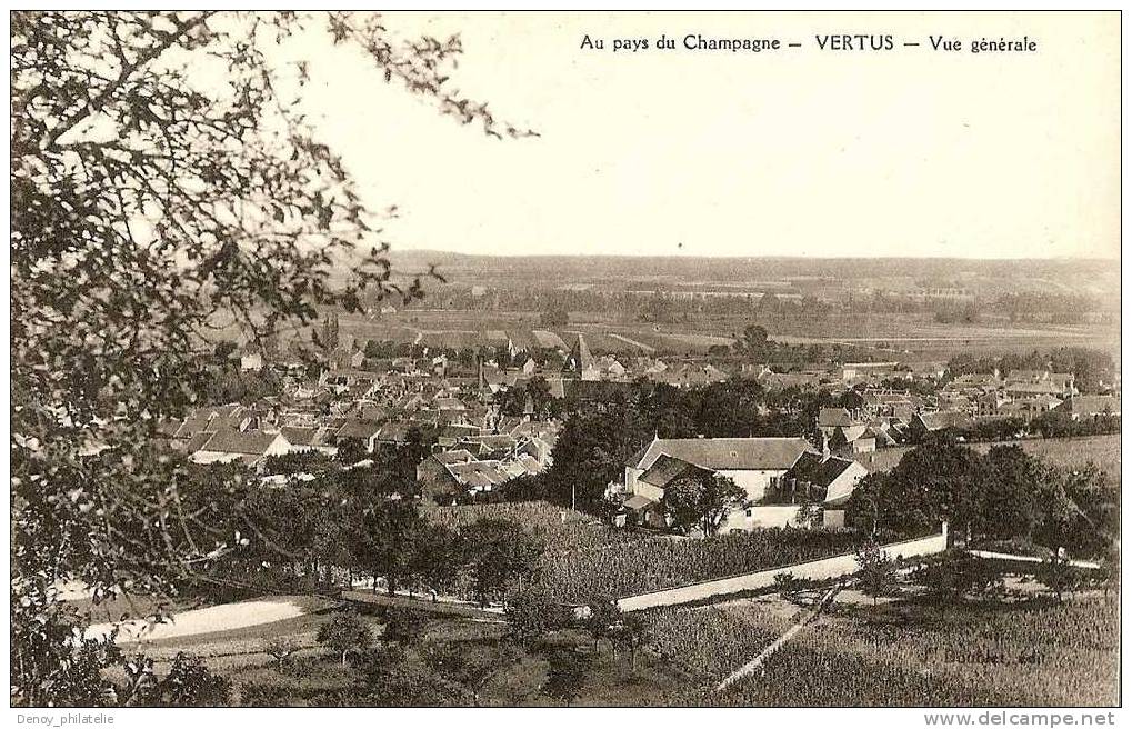 51/ AU PAYS DU CHAMPAGNE / VERTUS / VUE GENERALE - Vertus