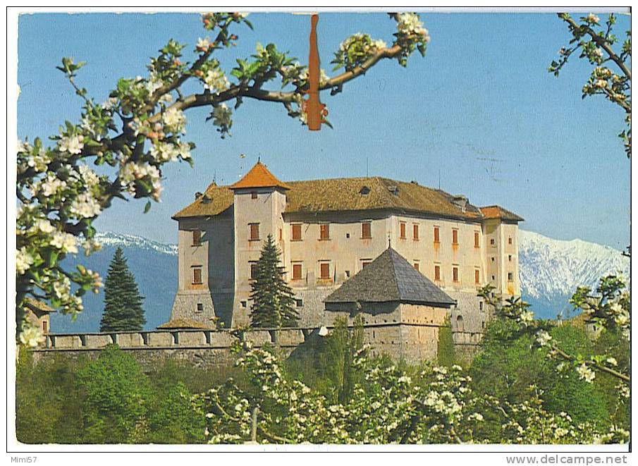 C.P.M.  TRENTINO - Castel Thun - Trento