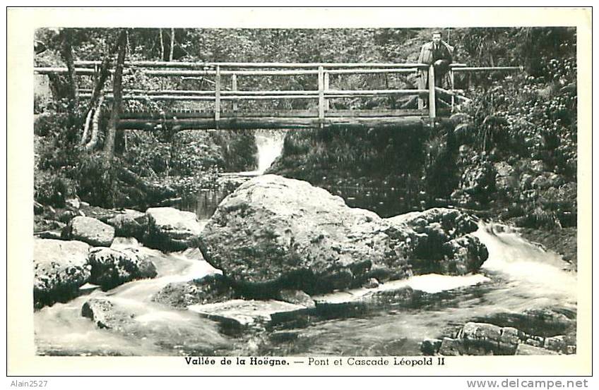 Vallé De La Hoëgne - Pont Et Cascade Léopold II - Theux