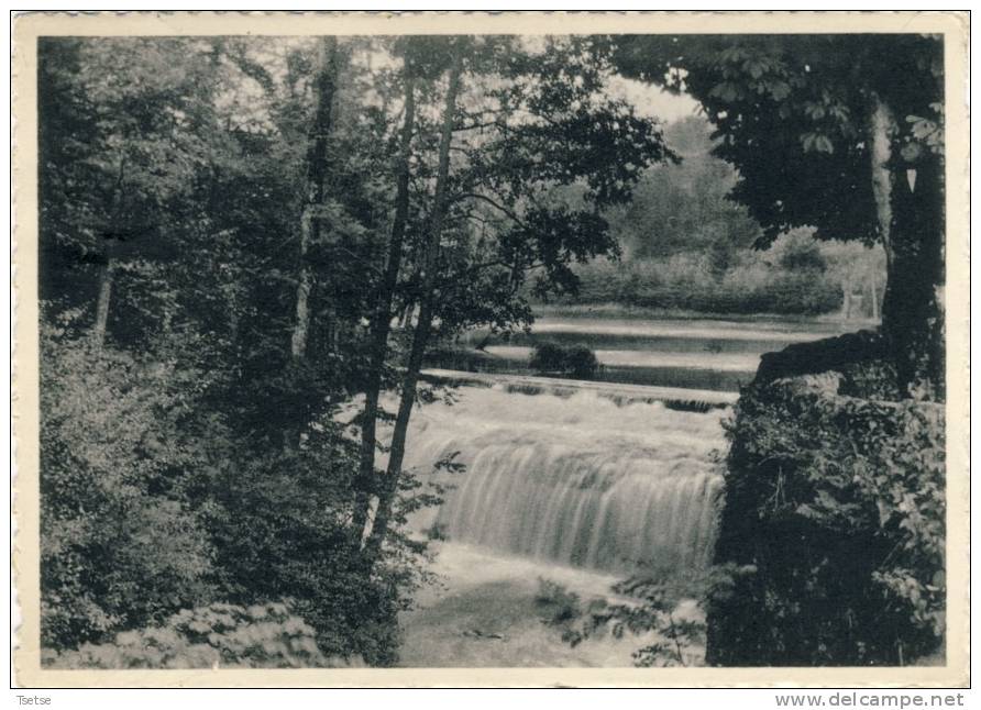 Habay-la-Neuve - Etang De Bologne -Cascade - Habay