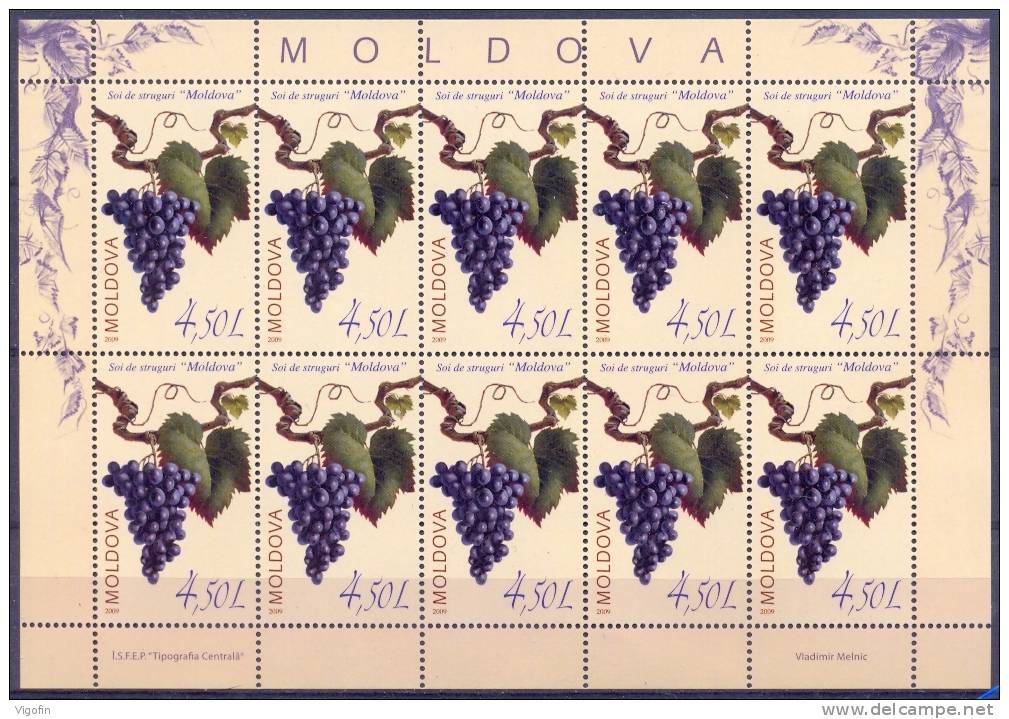 MD 2009-676 WIENTRAUBE, MOLDAVIA, MS, MNH - Wines & Alcohols