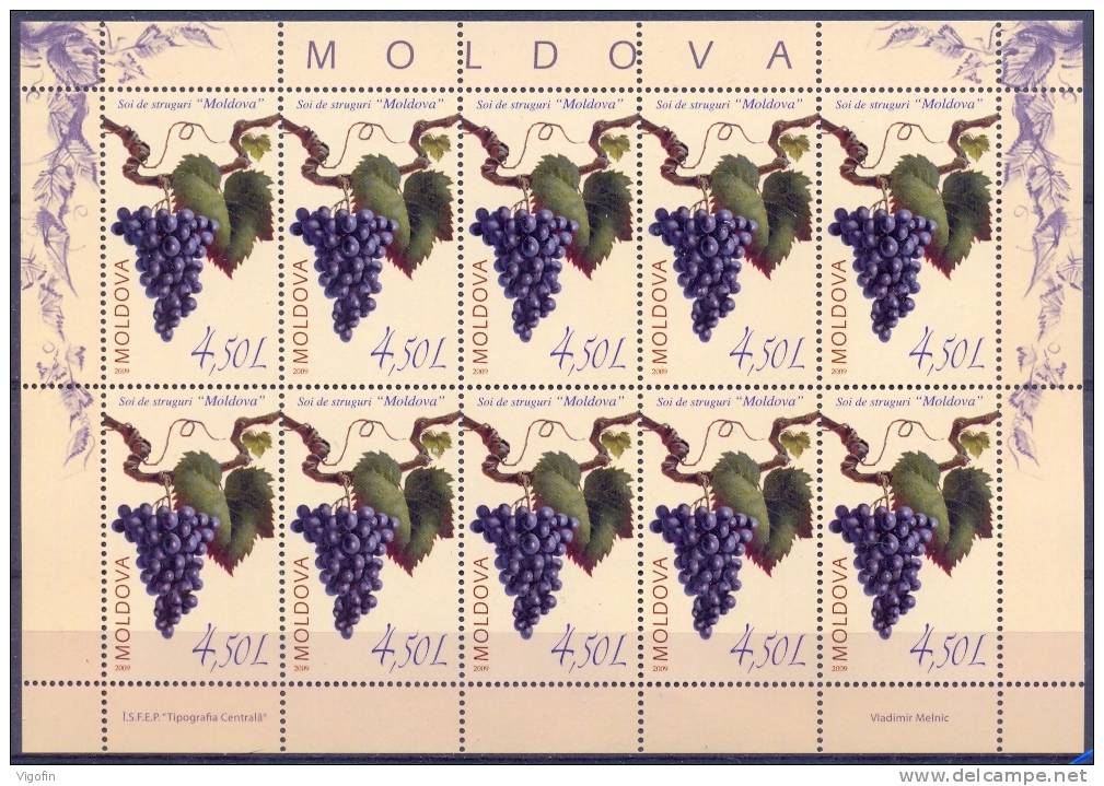 MD 2009-676 WIENTRAUBE, MOLDAVIA, MS, MNH - Wein & Alkohol