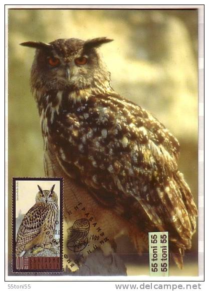 2009  BIRDS-Owls 4v. – 4 MC (maximum Cards) BULGARIA / Bulgarie - Ungebraucht