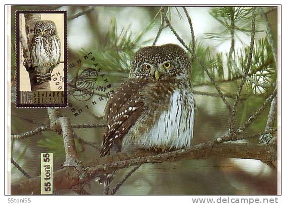 2009  BIRDS-Owls 4v. – 4 MC (maximum Cards) BULGARIA / Bulgarie - Ungebraucht