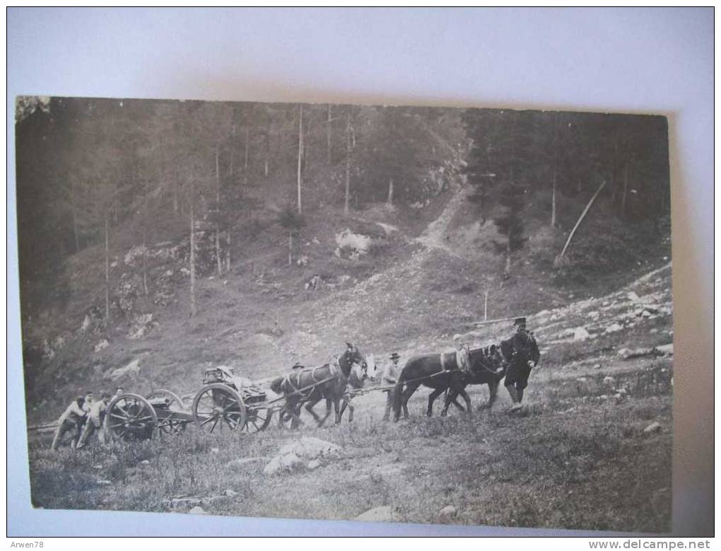 Carte Photo Attelage De Mules Canon Militaire Montagne Soldat Convois Recto / Verso - Manoeuvres