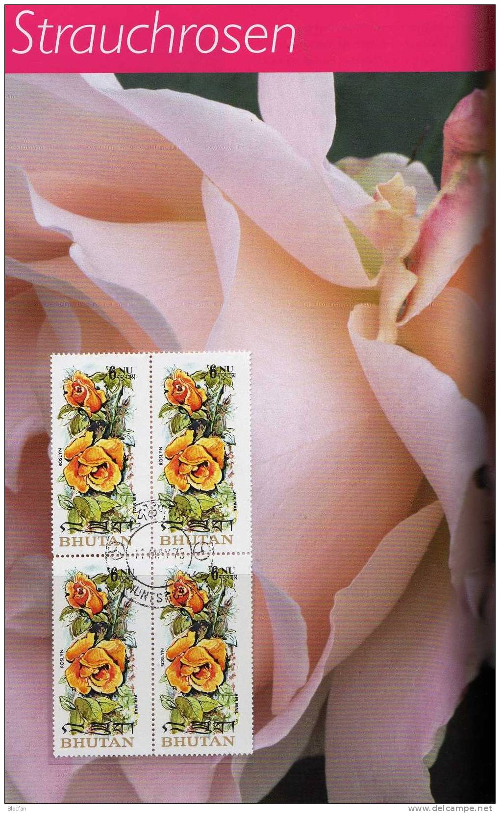 Rosen-Züchtungen 1973 Bhutan 545/50+4-Block O 42€ Duftende Blumen Im Bildband Book And Rose M/s Flower Sheet Bf Asia - Rozen