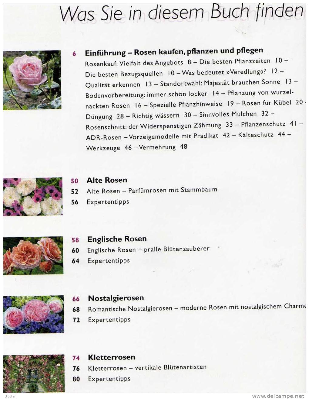 Rosen-Züchtungen 1973 Bhutan 545/50+4-Block O 42€ Duftende Blumen Im Bildband Book And Rose M/s Flower Sheet Bf Asia - Rozen