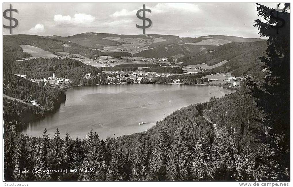 TITISEE Schwarwald : Panorama 1961 - Titisee-Neustadt