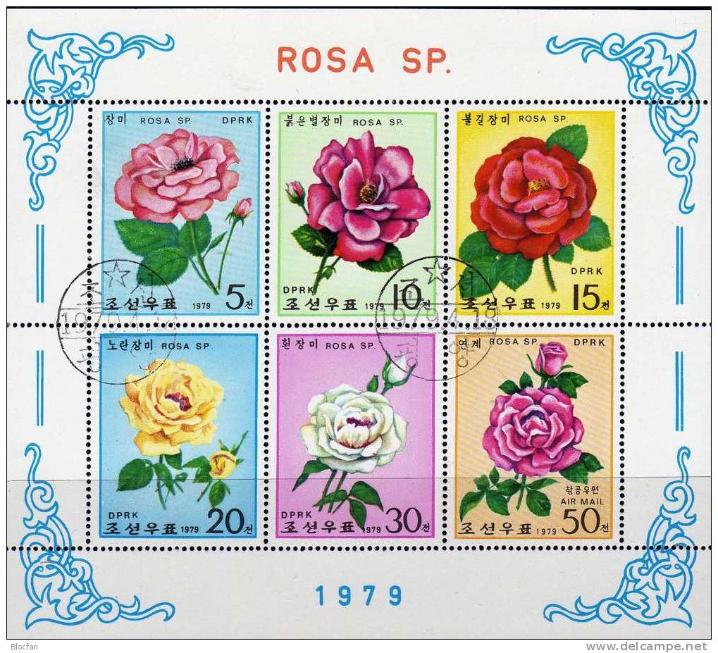 Rosenzucht 1979 Korea 1821/6,3ZD+Kleinbogen O 12€ Garten-Rosen Edelrose Strauchrose Bloc Hoja M/s Flower Sheet Bf Corea - Rosas