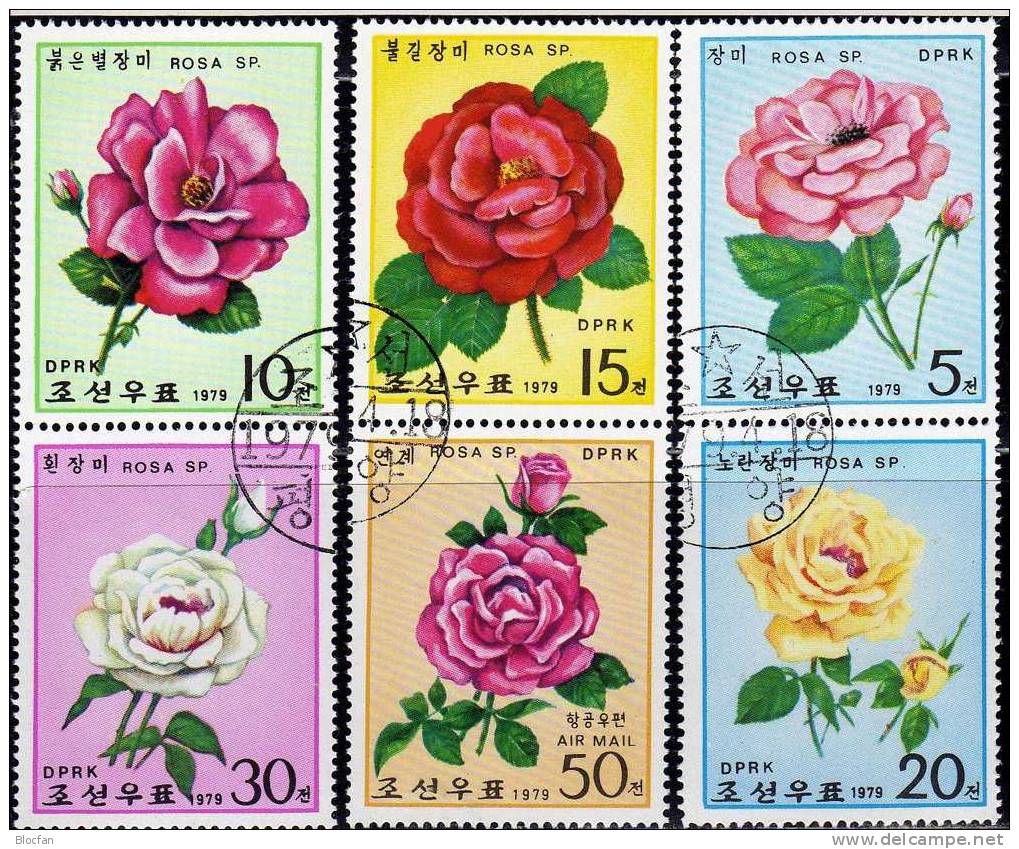 Rosenzucht 1979 Korea 1821/6,3ZD+Kleinbogen O 12€ Garten-Rosen Edelrose Strauchrose Bloc Hoja M/s Flower Sheet Bf Corea - Rozen