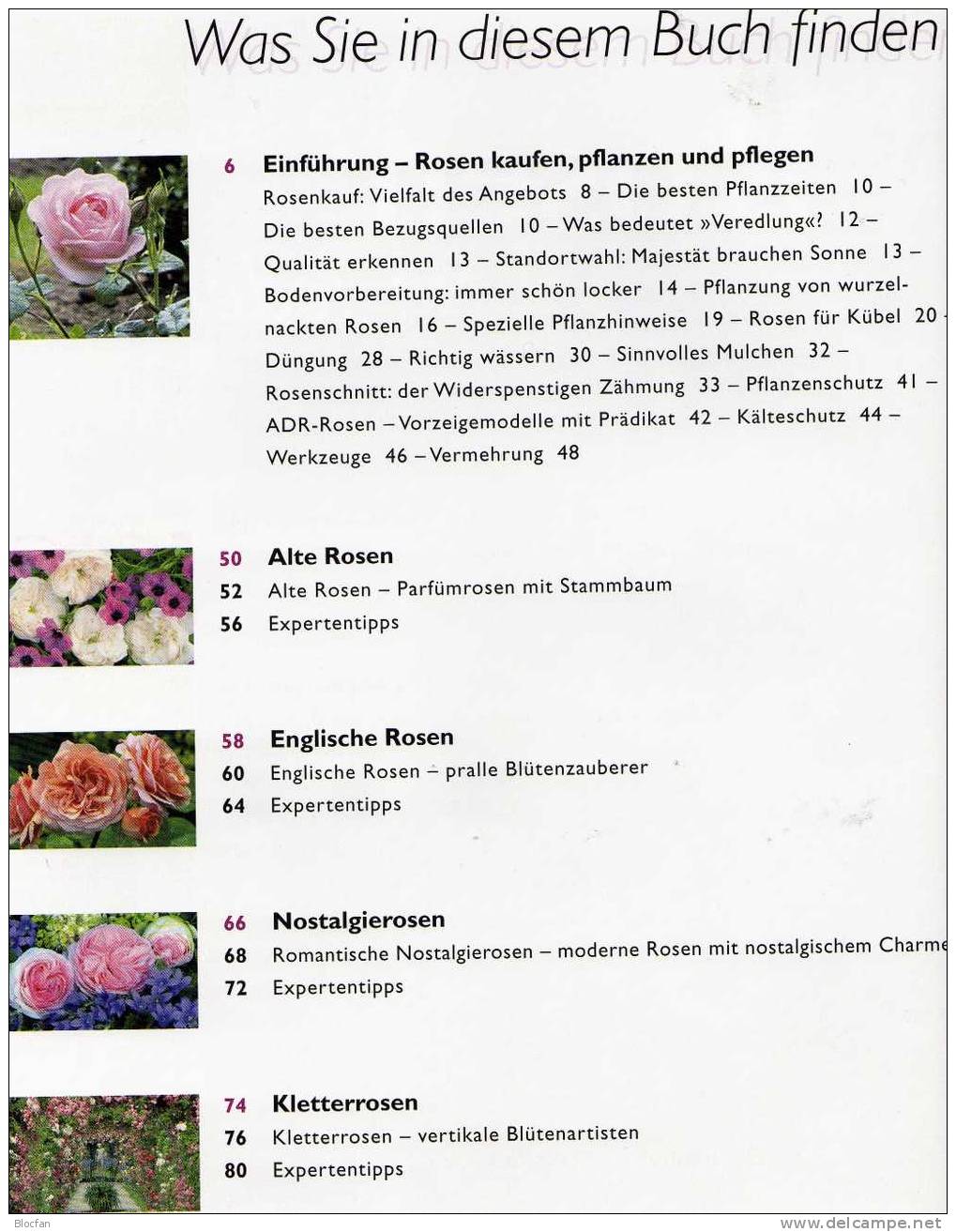 Rosen-Züchtungen Bhutan 545/50 O 42€ Duftende Blumen Im Bildband - Collezioni (in Album)