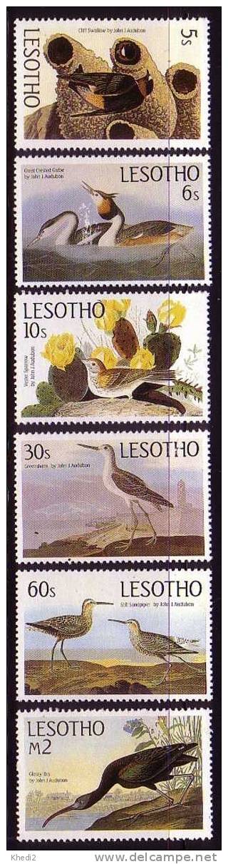 Série Complète Oiseau - 6 TP Oiseaux LESOTHO YT 637/42 - Hirondelle Grèbe Etc - Birds Vögel - Lesotho (1966-...)