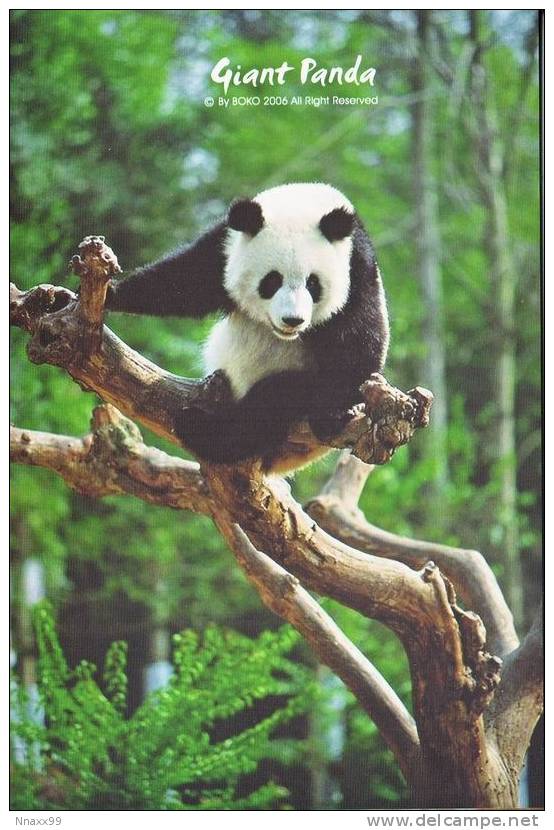 Giant Panda - A Giant Panda (Ailuropoda Melanoleuca) On The Tree Stump - Bears