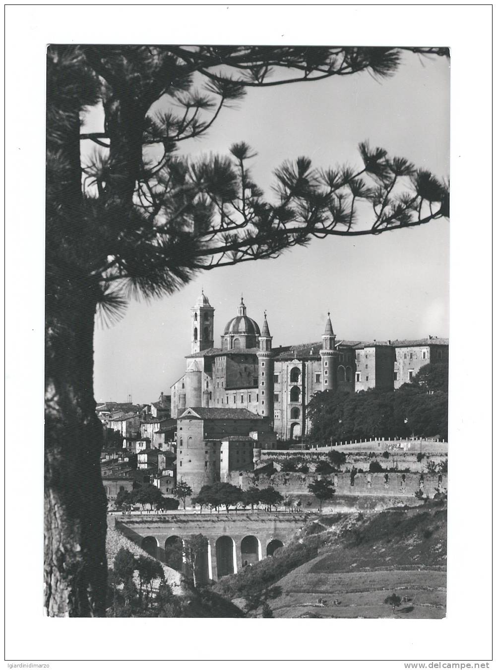 URBINO - Scorcio Panoramico - ANIMATA - Nuova, Non Viaggiata - In Buone Condizioni. - Urbino