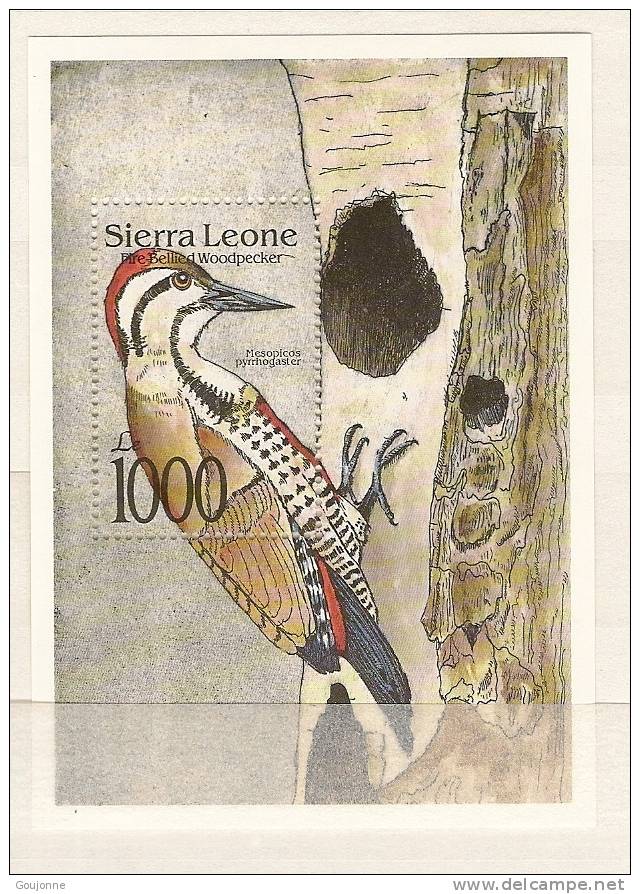SIERRA LEONE  Faune Oiseaux      (1)  BF 188** - Piciformes (pájaros Carpinteros)
