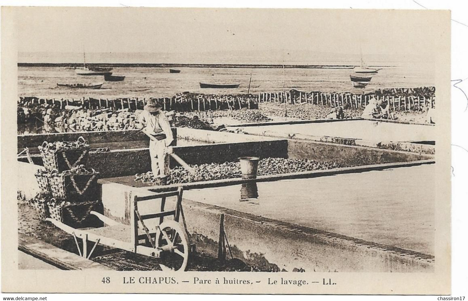 17 -LE CHAPUS -lot De 2 Cartes-   Parc à Huîtres - Le Lavage + Le Fort Et Port Du Chapus - Marennes