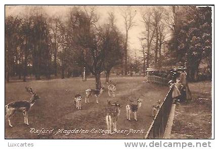 OXFORD .MAGDALEN COLLEGE. DEER PARK. - Oxford