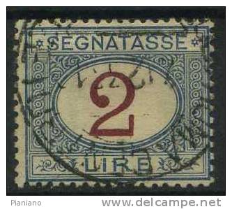 PIA - REGNO - 1890-1894 : Segnatasse - (SAS 29-30 ) - Postage Due